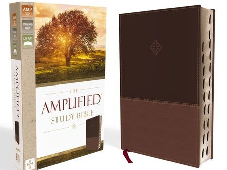 Amplified Study Bible, Imitation Leather, Brown, Indexed For Sale