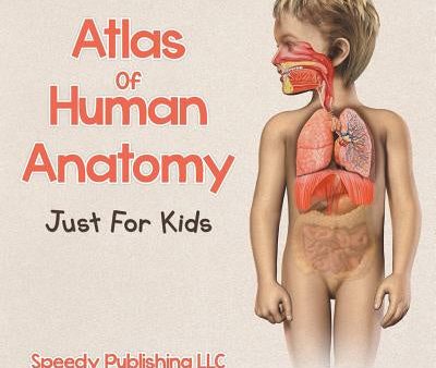 Atlas Of Human Anatomy Just For Kids Fashion