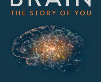 Brain, The Online Hot Sale