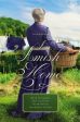 Amish Home: Four Novellas, An Fashion