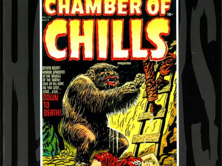 American Comics: Chamber Of Chills Volume 3 Cheap